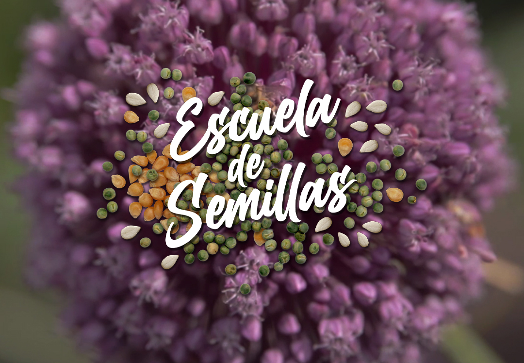 Escuela de semillas